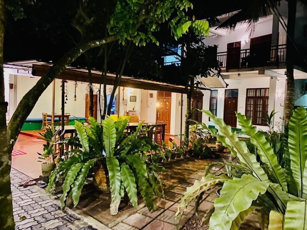 Gihan Guesthouse Mirissa Exterior foto